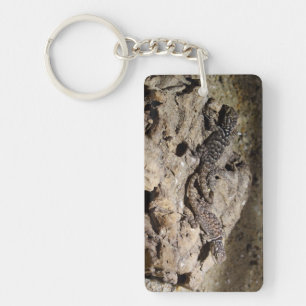 Sceloporus cyanogenys key ring