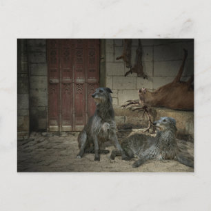 Scène de chasse : le butin (part. 3) postcard
