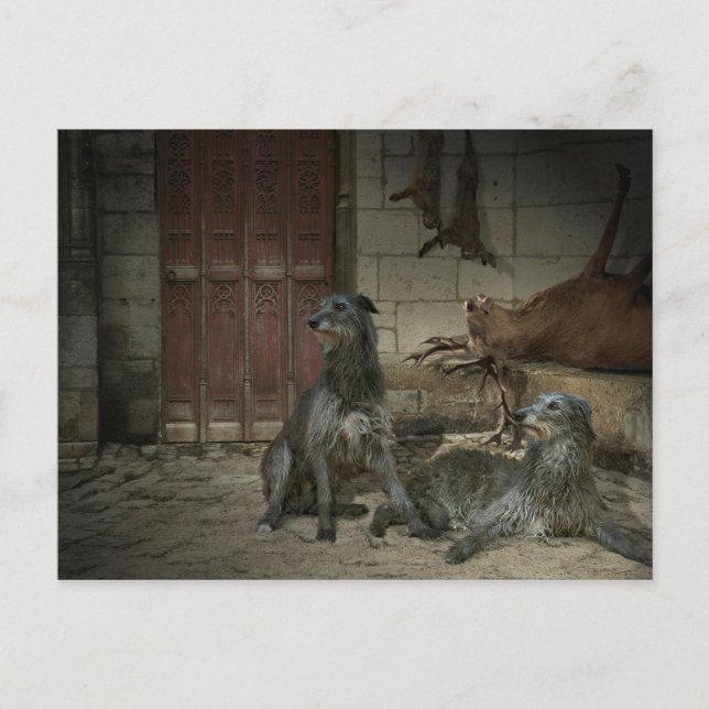 Scène de chasse : le butin (part. 3) postcard (Front)