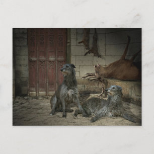 Scène de chasse : le butin (part. 3) postcard