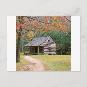 Scene Historic Log Cabin In Smoky Postcard