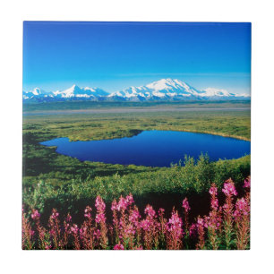 Scene Tundra Mount Mckinley Denali Alaska Ceramic Tile