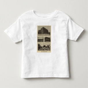 Scenes, Boise, Idaho Toddler T-Shirt