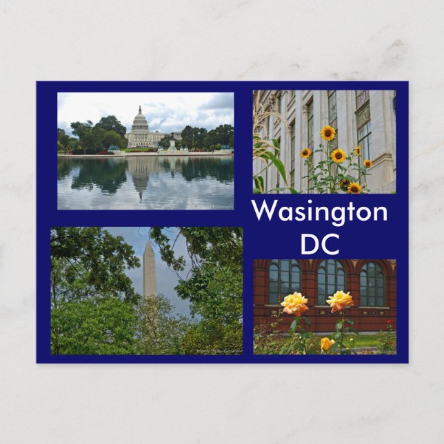 Scenes from Washington DC Postcard (Front)