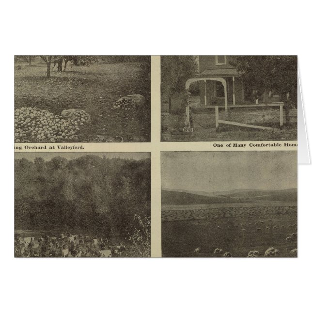 Scenes Inland Empire (Front Horizontal)