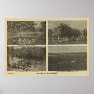 Scenes Inland Empire Poster