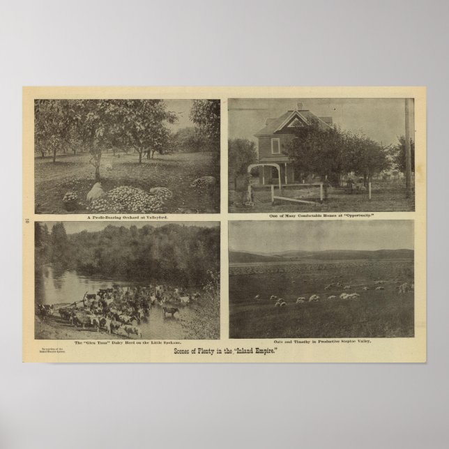 Scenes Inland Empire Poster (Front)