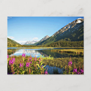 Scenic Alaska landscape photograph Postcard