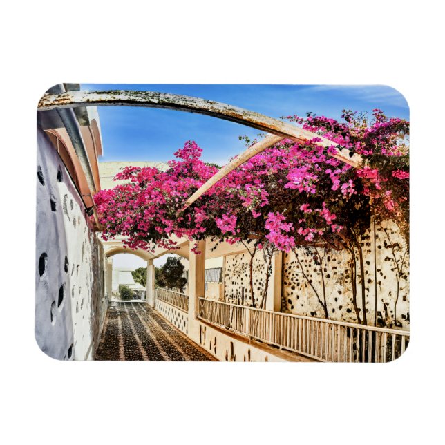 Scenic Alleyway in Santorini, Greece Magnet (Horizontal)