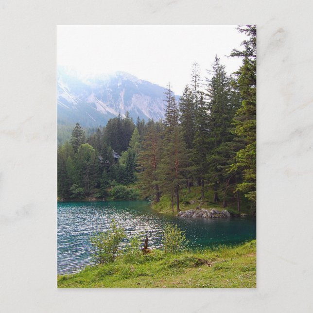Scenic Alpine Forrest and Lake Postcard (Front)