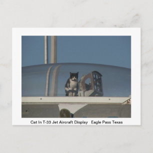 Scenic America Post Card
