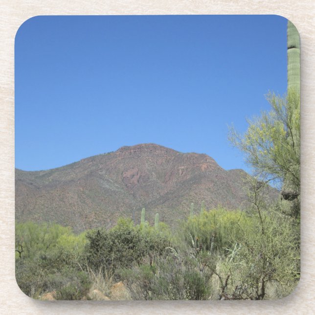 Scenic Apache Trail Coaster (Front)