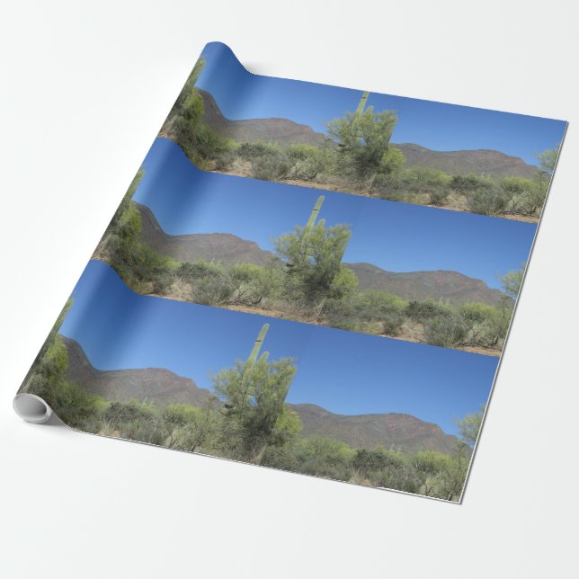 Scenic Apache Trail Wrapping Paper (Unrolled)