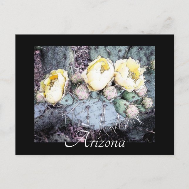 Scenic Arizona Cactus Flower Digital Ink Postcard (Front)