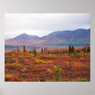 Scenic Autumn In Denali National Park, Alaska Poster