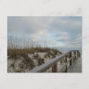 Scenic Beach Boardwalk Landscape Photograph Postcard