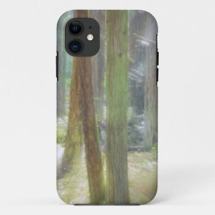 Scenic Beach State Park iPhone 11 Case