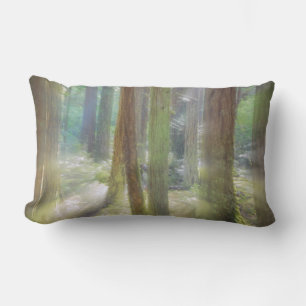 Scenic Beach State Park Lumbar Cushion