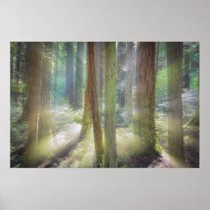 Scenic Beach State Park Poster