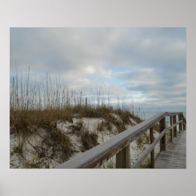 Scenic Boardwalk Florida Beach Nature Photography Poster (Front)