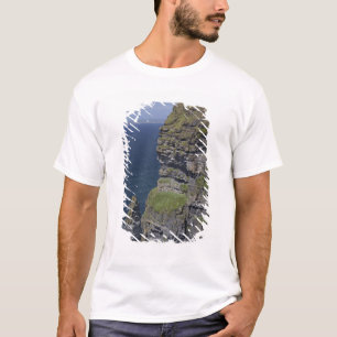 Scenic Cliffs of Moher and O'Brien's Tower T-Shirt