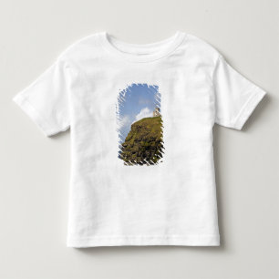 Scenic Cliffs of Moher and O'Brien's Tower. Toddler T-Shirt