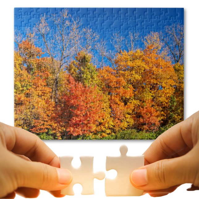 Scenic Fall Trees and Blue Sky Nature Photo Jigsaw Puzzle (Puzzle loving dads will appreciate an excuse to stay inside with you on a hot summer afternoon. )