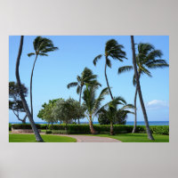 Scenic Hawaiian view