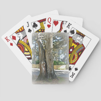 Scenic image of two trees grown together playing cards