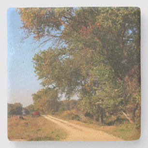 Scenic in Northern Greece Sq Coaster