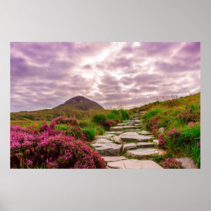 scenic Ireland poster