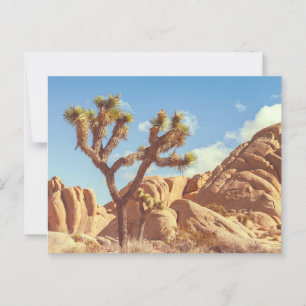 Scenic Joshua Trees National Park Landscape Postcard