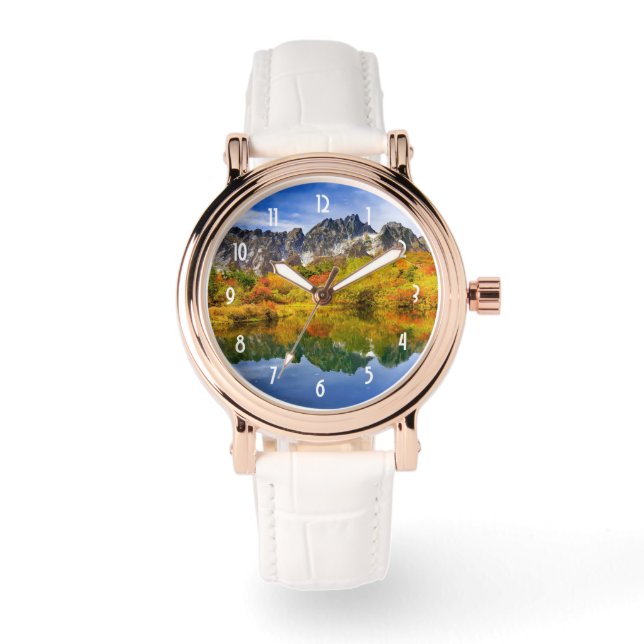 Scenic Landscape Forest and Mountains Watch (Front)