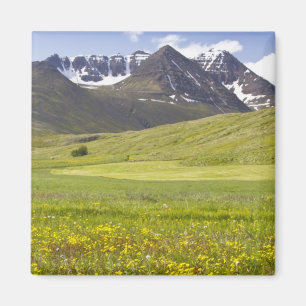 Scenic landscape of Svarfadardalur valley Magnet