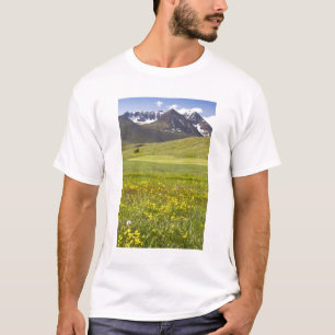 Scenic landscape of Svarfadardalur valley T-Shirt