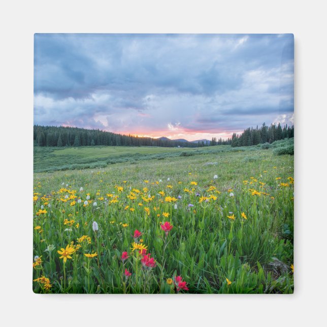 Scenic landscape with colourful wildflowers magnet (Front)