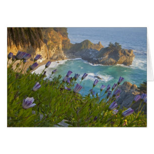 Scenic McWay Falls tumbles into the beach and