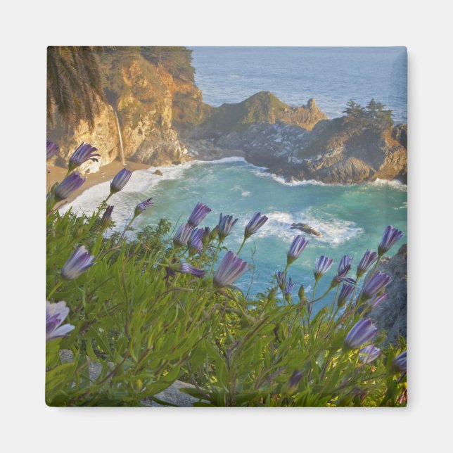 Scenic McWay Falls tumbles into the beach and Magnet (Front)