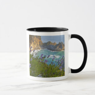 Scenic McWay Falls tumbles into the beach and Mug