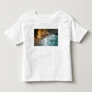 Scenic McWay Falls tumbles into the beach and Toddler T-Shirt
