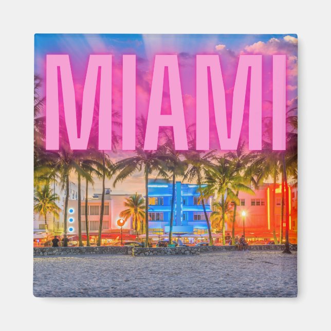 Scenic Neon Miami Waterfront  Magnet (Front)
