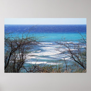 Scenic Ocean View Poster