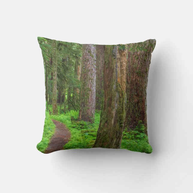 Scenic of old growth forest cushion (Front)