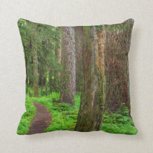 Scenic of old growth forest cushion
