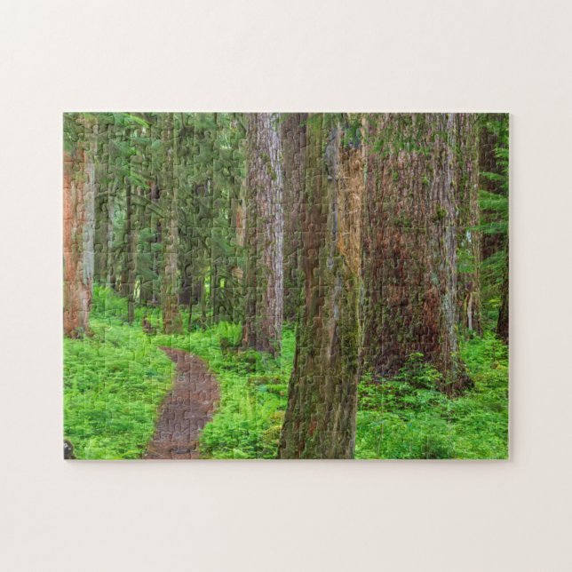 Scenic of old growth forest jigsaw puzzle (Horizontal)