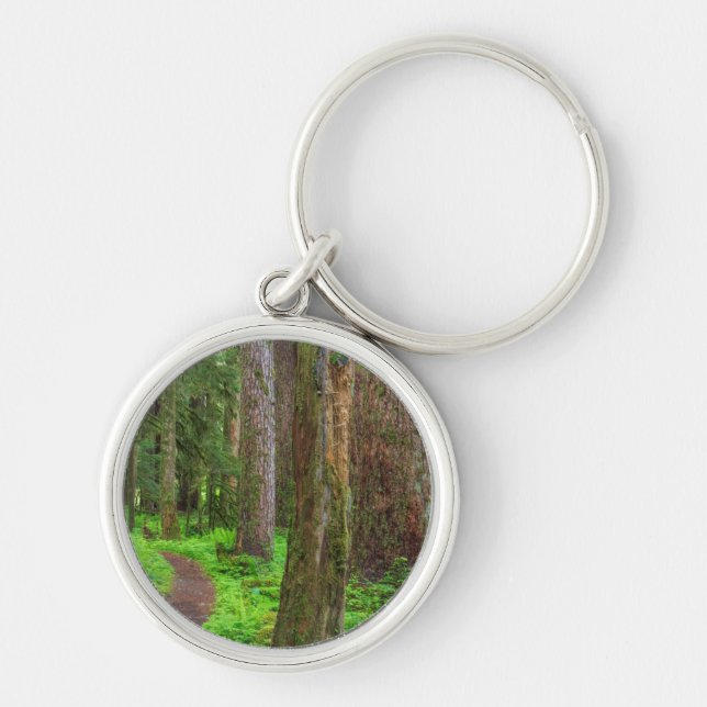 Scenic of old growth forest key ring (Front)