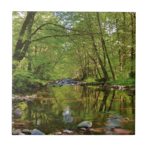Scenic of Wilson River Ceramic Tile
