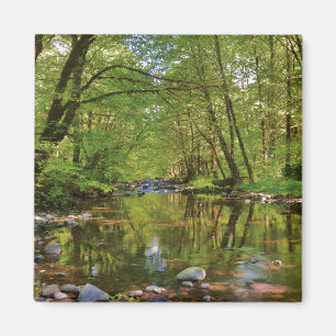 Scenic of Wilson River Magnet