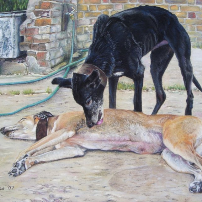 scenic picture of sandy and black greyhound dogs jigsaw puzzle (Creator Uploaded)