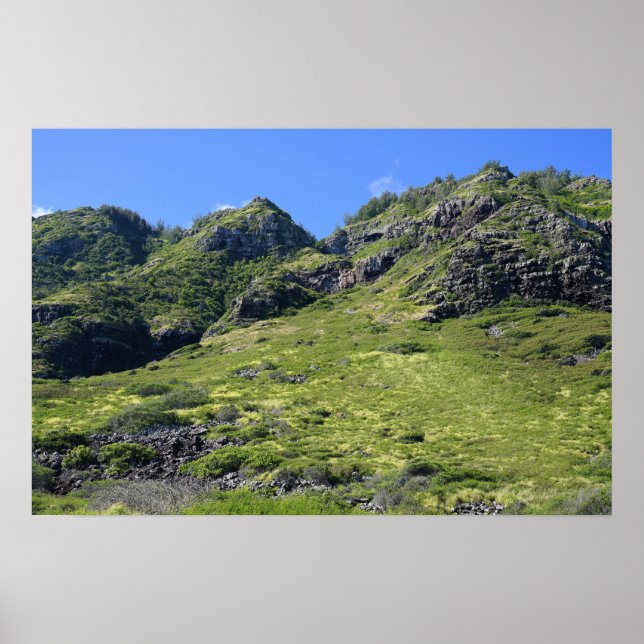 Scenic Poster (Front)